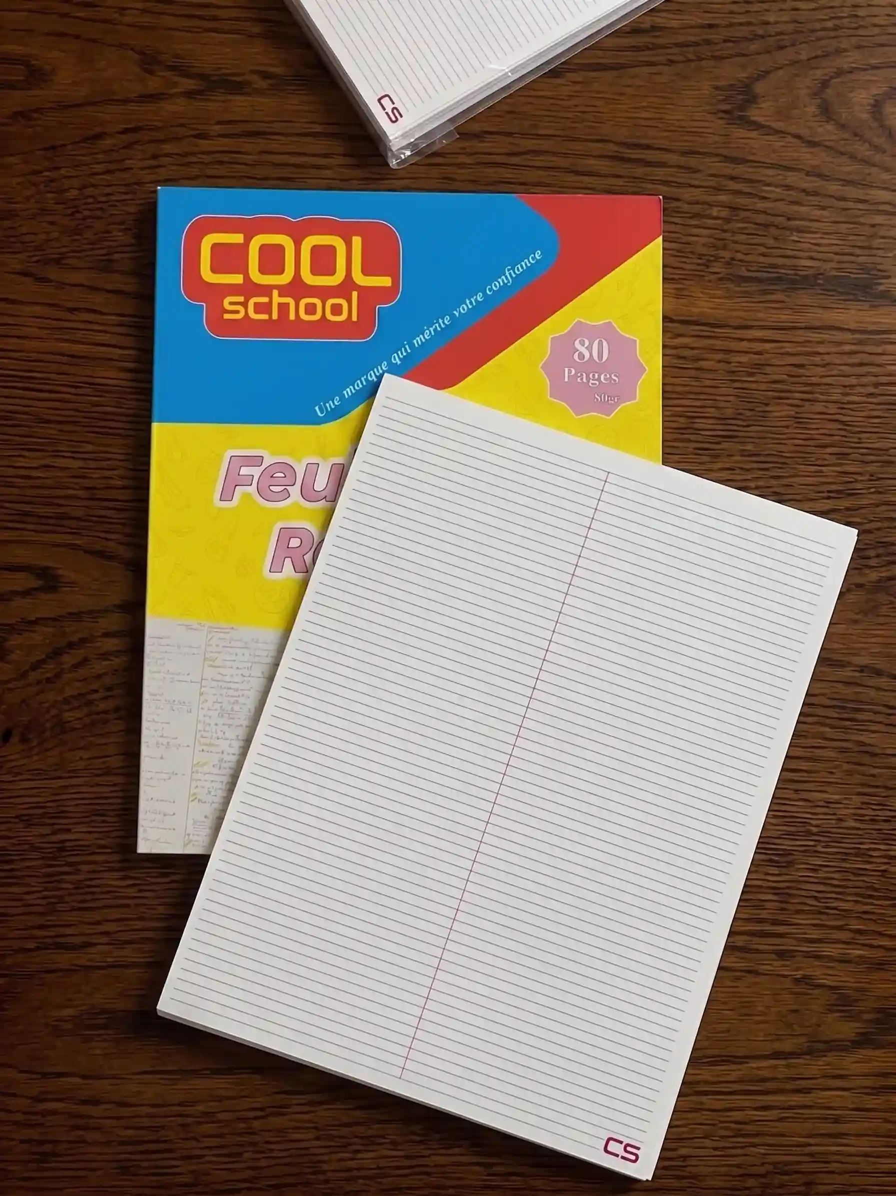 FEUILLES DE REVISION A4/2L 80P
